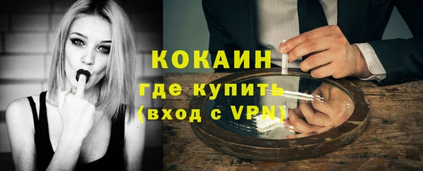 спайс Арсеньев