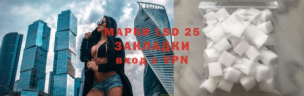 спайс Арсеньев