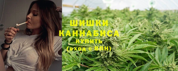 спайс Арсеньев