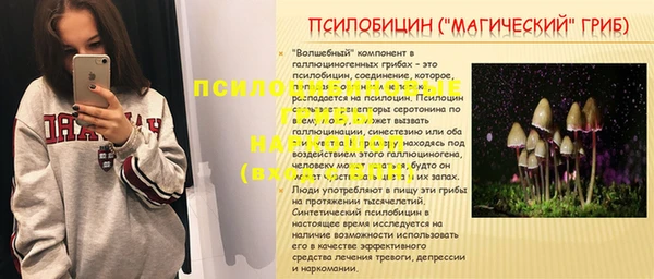 спайс Арсеньев